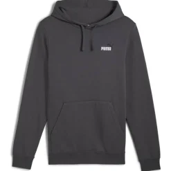 ESS 2 Color Small No. 1 Logo FL Herren Kapuzensweater