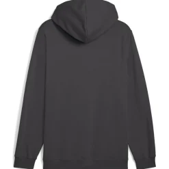 ESS 2 Color Small No. 1 Logo FL Herren Kapuzensweater