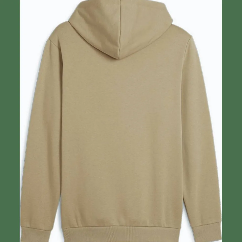 ESS Big Logo FL (s) Herren Kapuzensweater