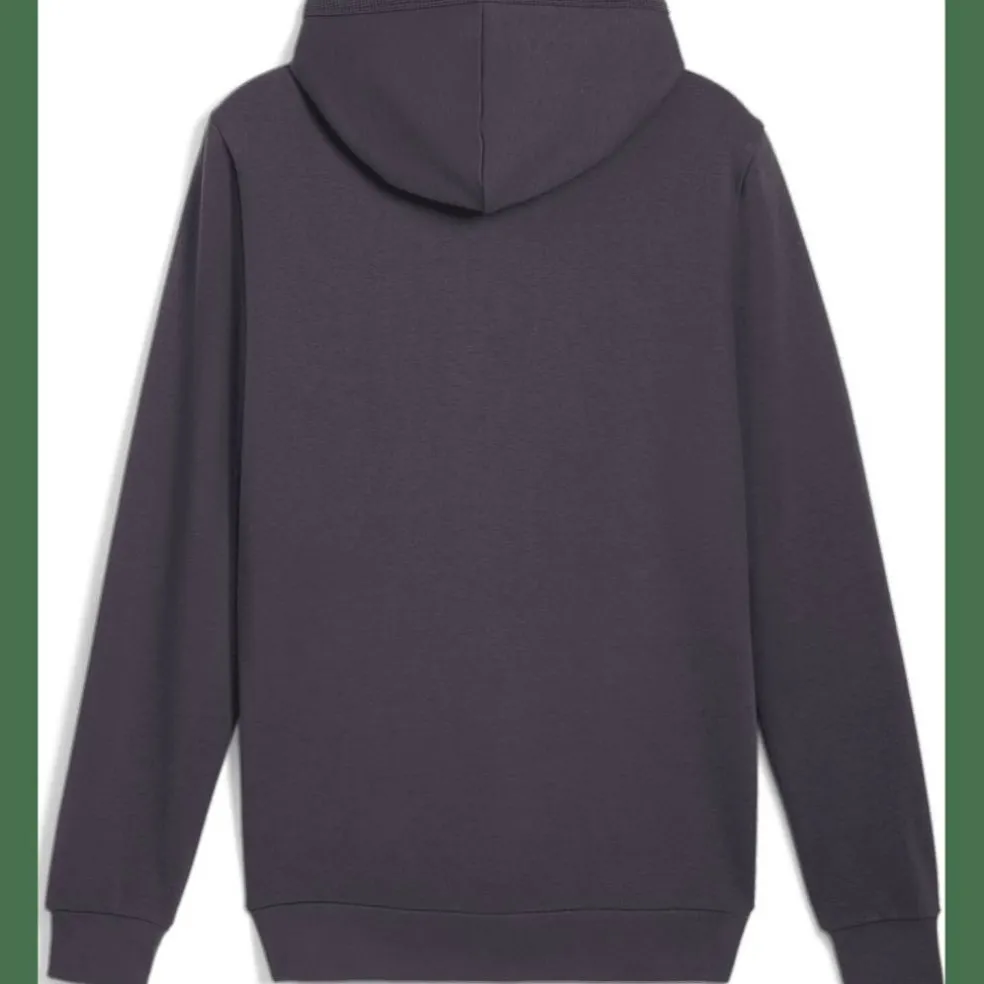ESS Elevated FL Herren Kapuzensweater