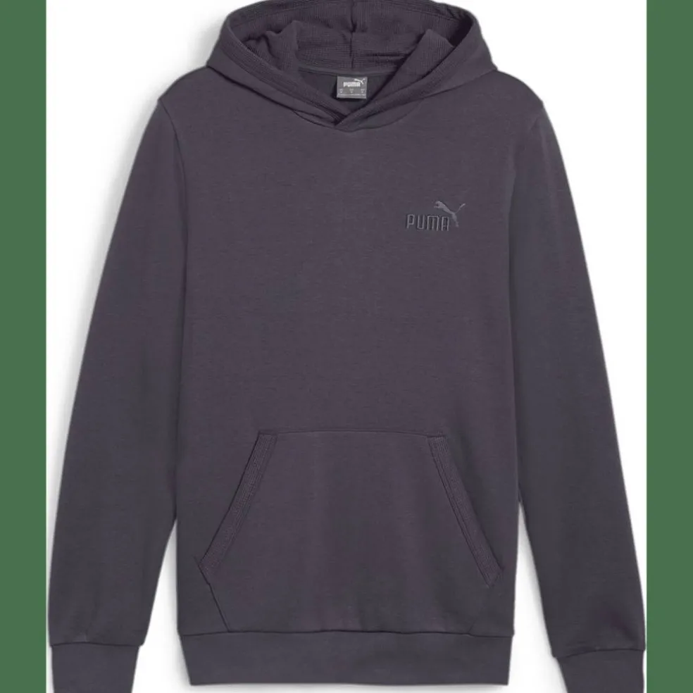 ESS Elevated FL Herren Kapuzensweater