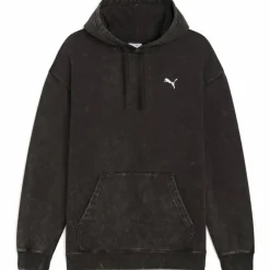 ESS Elevated Relaxed Wash FL Herren Kapuzensweater