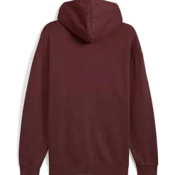 ESS Elevated Relaxed Wash FL Herren Kapuzensweater