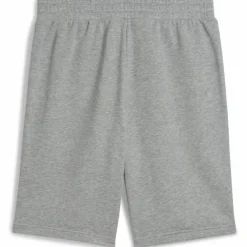ESS No. 1 Logo 10" Herren Shorts