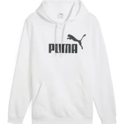 ESS No. 1 Logo FL Herren Kapuzensweater