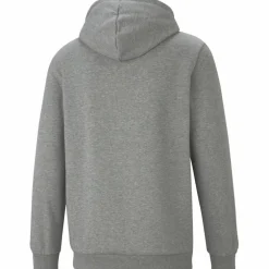ESS Small Logo FL Herren Kapuzensweater