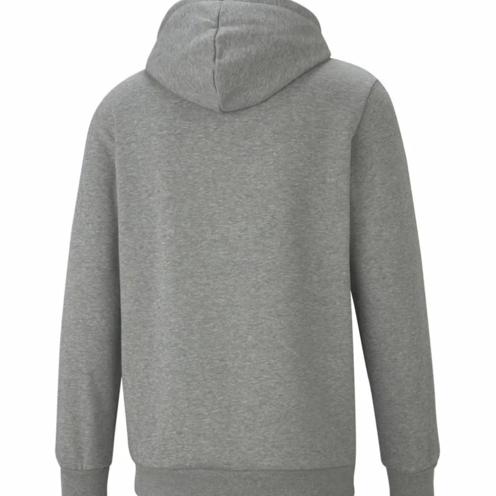 ESS Small Logo FL Herren Kapuzensweater
