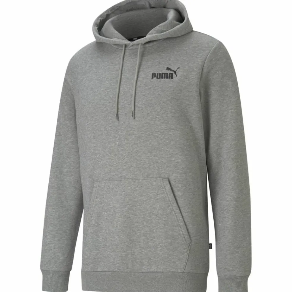 ESS Small Logo FL Herren Kapuzensweater