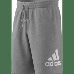 Essentials Big Logo French Terry Herren Shorts
