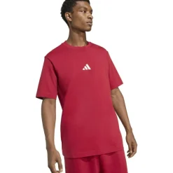 Essentials Small Logo Single Herren T-Shirt
