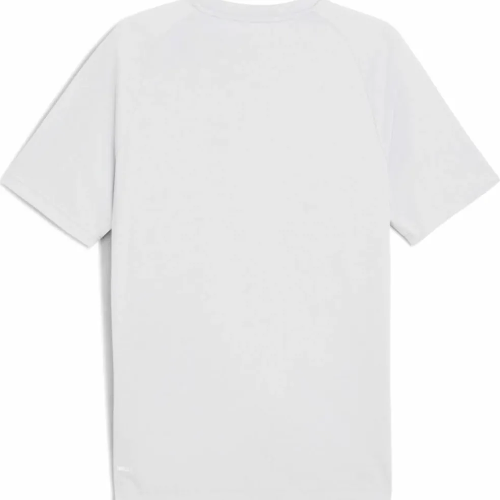Evostripe Herren T-Shirt