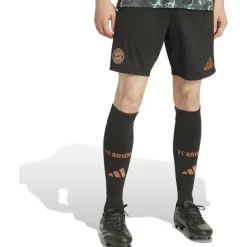 FC Bayern München 24/25 Auswärtsshorts Herren Teamhose