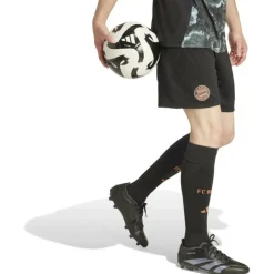 FC Bayern München 24/25 Auswärtsshorts Herren Teamhose