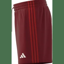 FC Bayern München DNA Herren Fußballhose