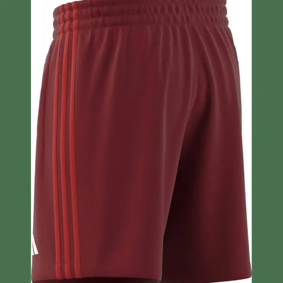 FC Bayern München DNA Herren Fußballhose