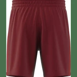 FC Bayern München DNA Herren Fußballhose
