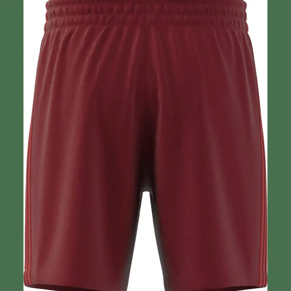 FC Bayern München DNA Herren Fußballhose
