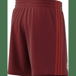 FC Bayern München DNA Herren Fußballhose