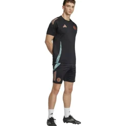 FC Bayern München Tiro 24 Trainingsshorts Herren Fußballhose