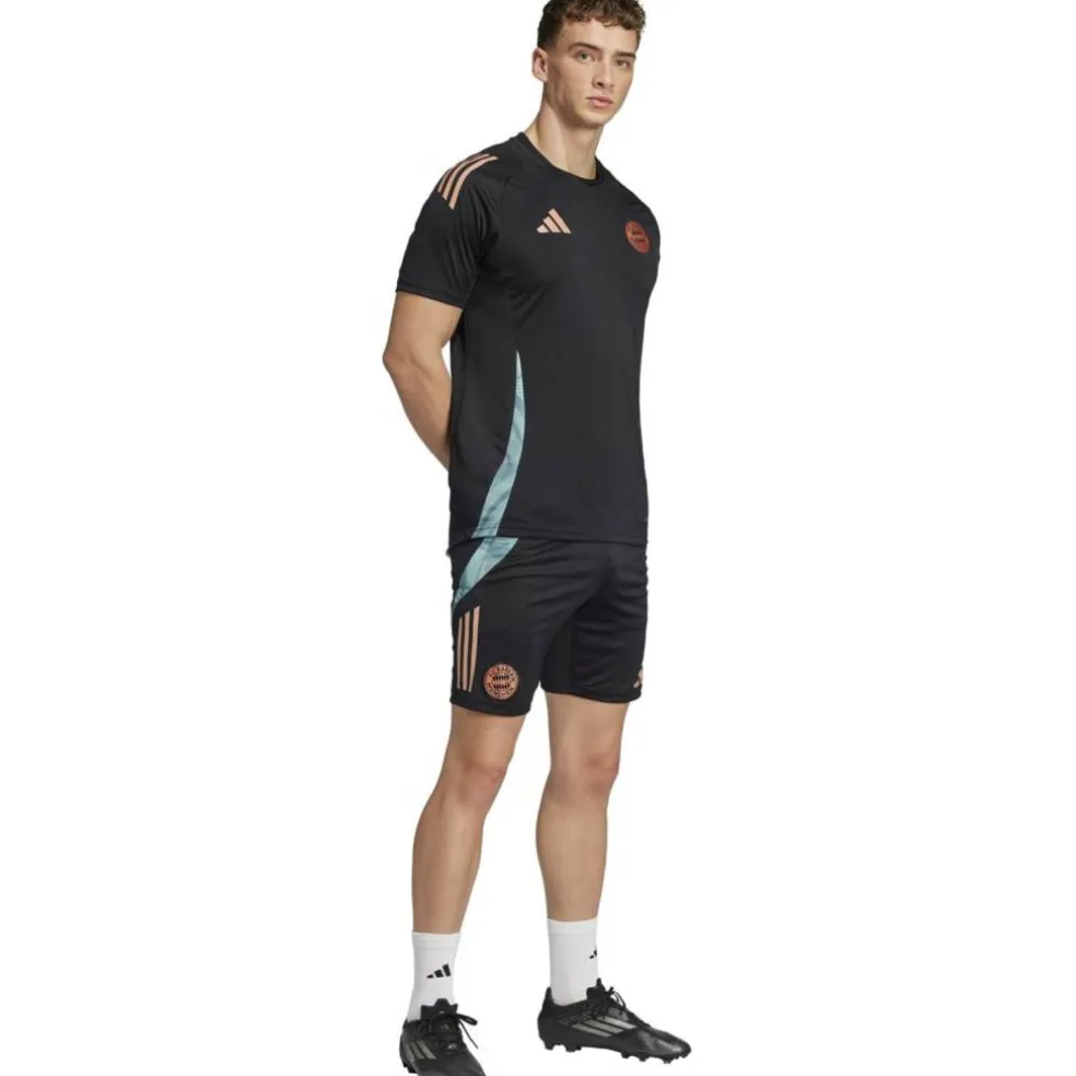 FC Bayern München Tiro 24 Trainingsshorts Herren Fußballhose