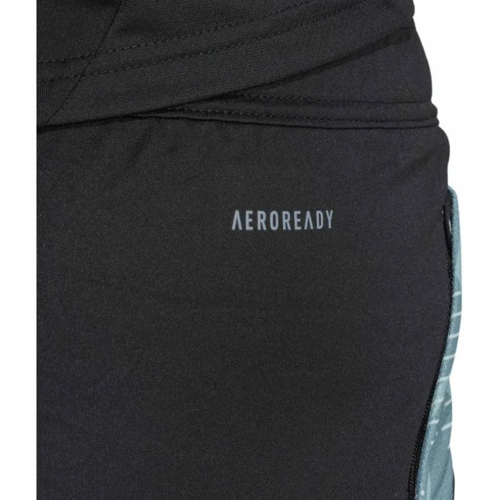 FC Bayern München Tiro 24 Trainingsshorts Herren Fußballhose