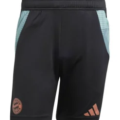 FC Bayern München Tiro 24 Trainingsshorts Herren Fußballhose