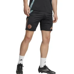 FC Bayern München Tiro 24 Trainingsshorts Herren Fußballhose