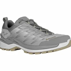 Ferrox GTX Low Herren Multifunktionsschuhe
