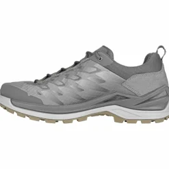Ferrox GTX Low Herren Multifunktionsschuhe