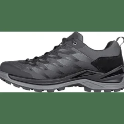 Ferrox GTX Low Herren Multifunktionsschuhe