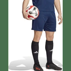 Fortore 23 Shorts Herren Shorts
