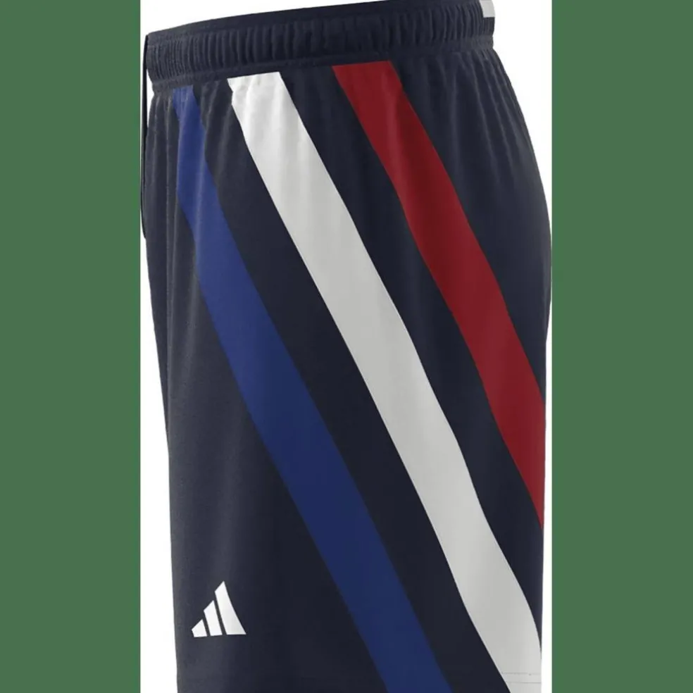 Fortore 23 Shorts Herren Shorts