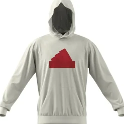 Future Icons Badge of Sport Hoodie Herren Kapuzensweater