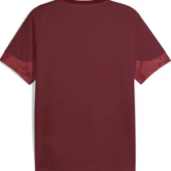Galatasary Istanbul Training Herren T-Shirt