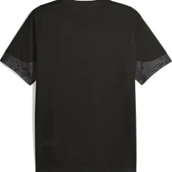 Galatasary Istanbul Training Herren T-Shirt