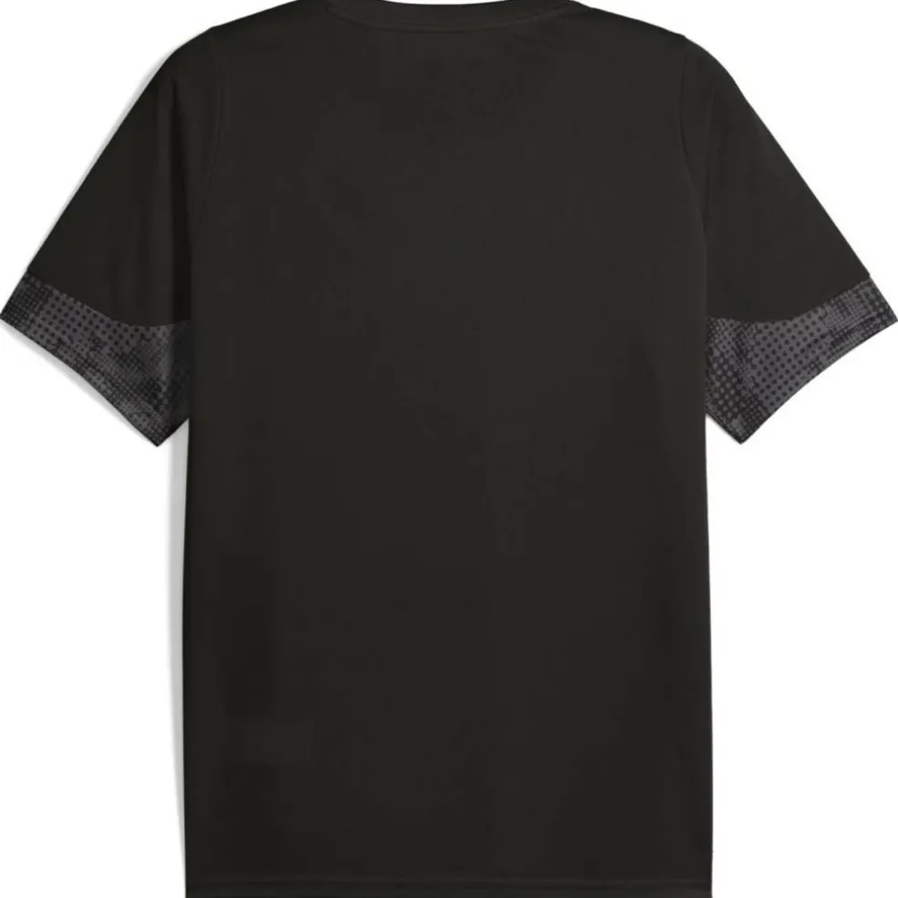 Galatasary Istanbul Training Herren T-Shirt