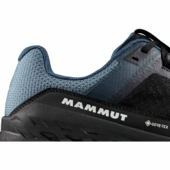 Girun II Low GTX Herren Multifunktionsschuhe