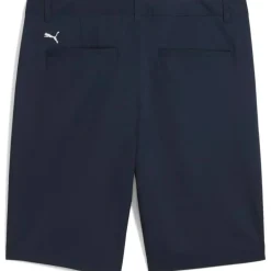 Golf Tech 2.0 Herren Shorts