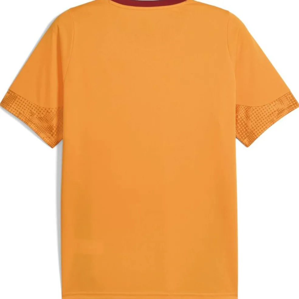 GSK Training with Star Herren T-Shirt
