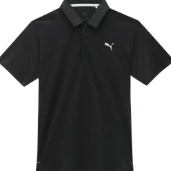 Icon 2.0 - LC Herren Poloshirt