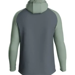 Iconic Unisex Kapuzensweater