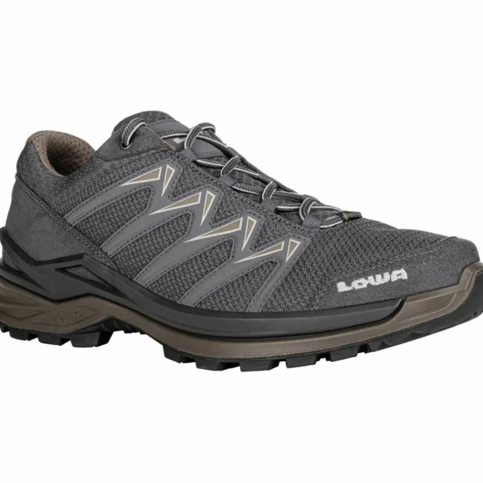 Innox Pro GTX Low Herren Multifunktionsschuhe