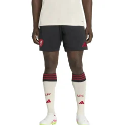 Liverpool FC 25/26 Away Herren Teamhose