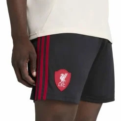 Liverpool FC 25/26 Away Herren Teamhose