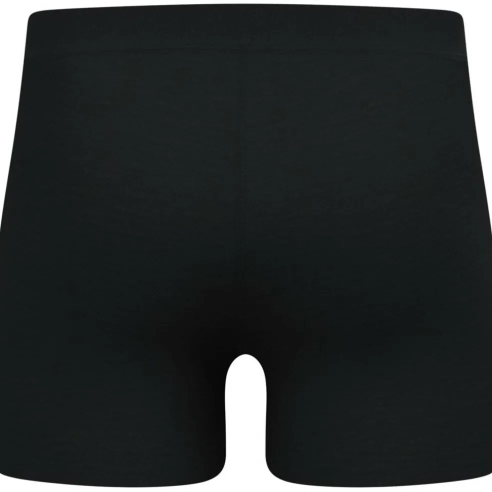 Merino 160 Herren Unterhose