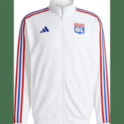 Olympique Lyon DNA Herren Sweatshirt