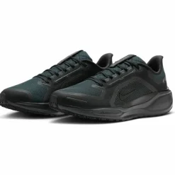 Pegasus 41 GTX Waterproof Road Herren Laufschuhe