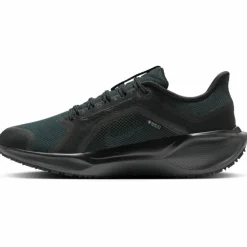 Pegasus 41 GTX Waterproof Road Herren Laufschuhe