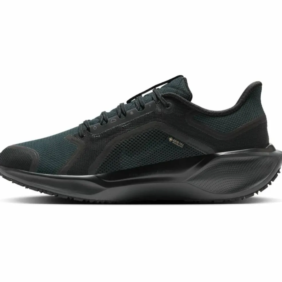 Pegasus 41 GTX Waterproof Road Herren Laufschuhe