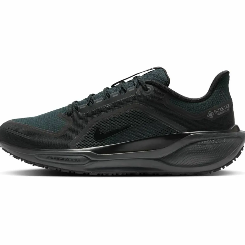 Pegasus 41 GTX Waterproof Road Herren Laufschuhe